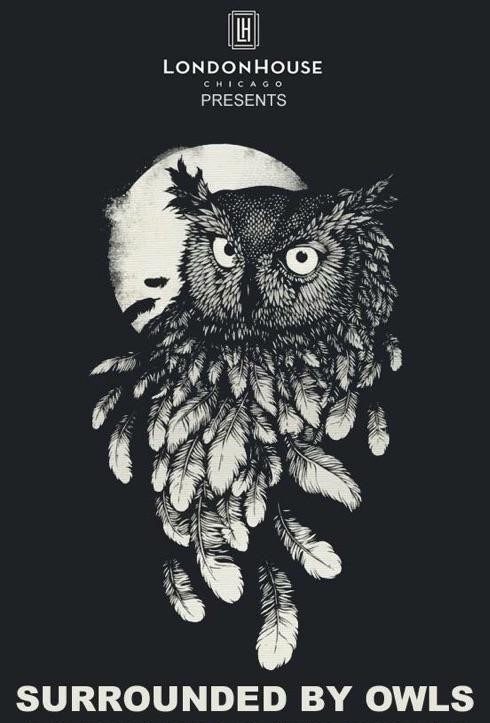 Surrounded By Owls